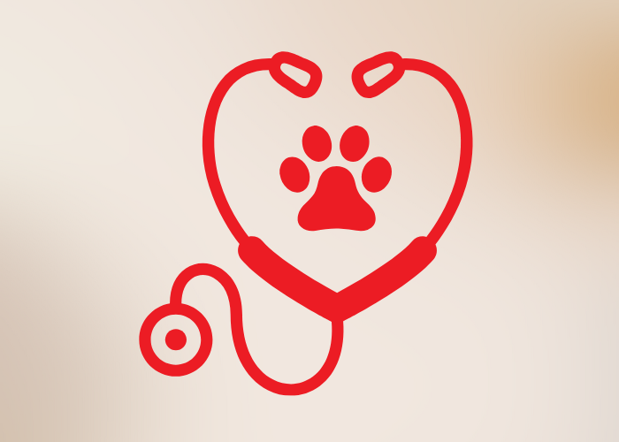 Training and Vet Inspections